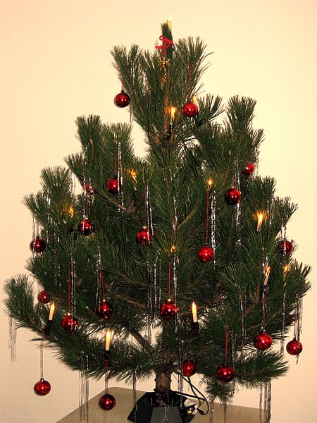 Dezember 2016 Angergymnasium Jena